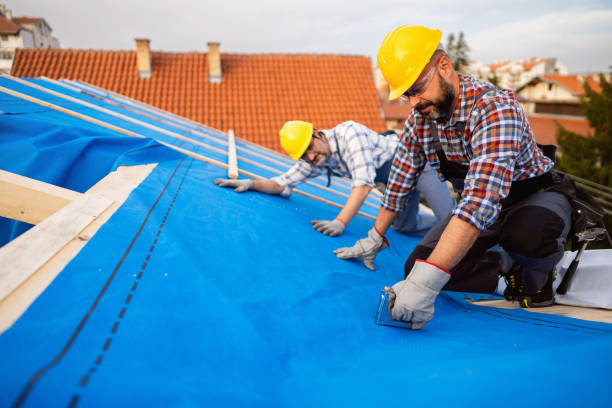 Best Roof Gutter Cleaning  in Kinder, LA