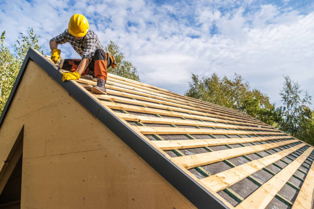 Best Metal Roofing Contractor  in Kinder, LA